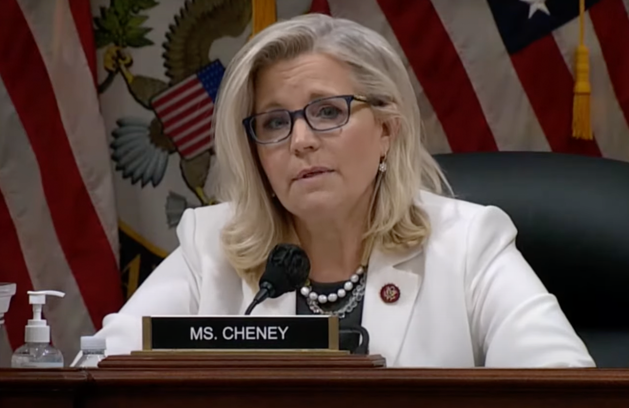 Liz Cheney (Photo: PBS)