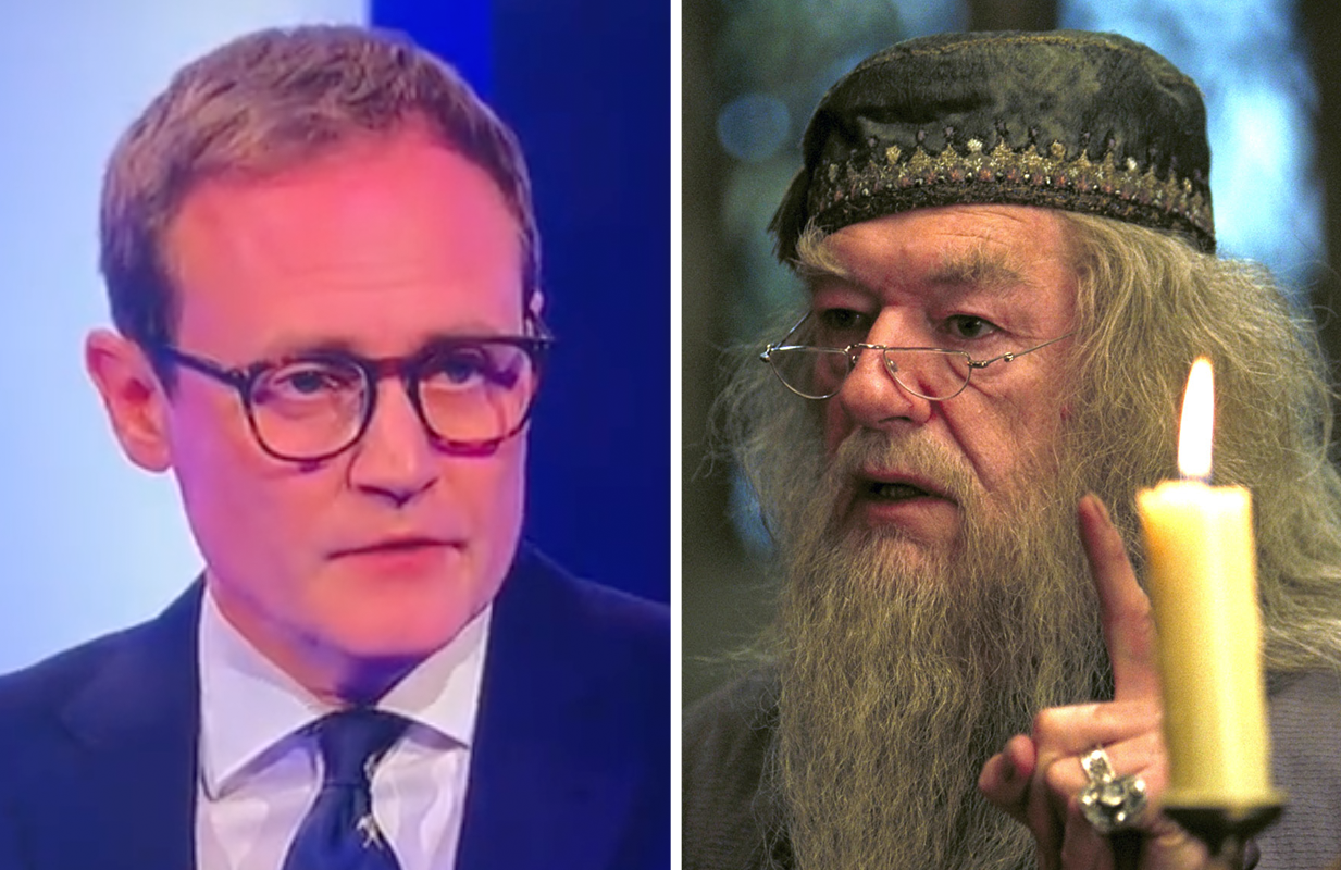 Tom Tugendhat and Albus Dumbledore (Photos: Channel 4/Everett Collection)