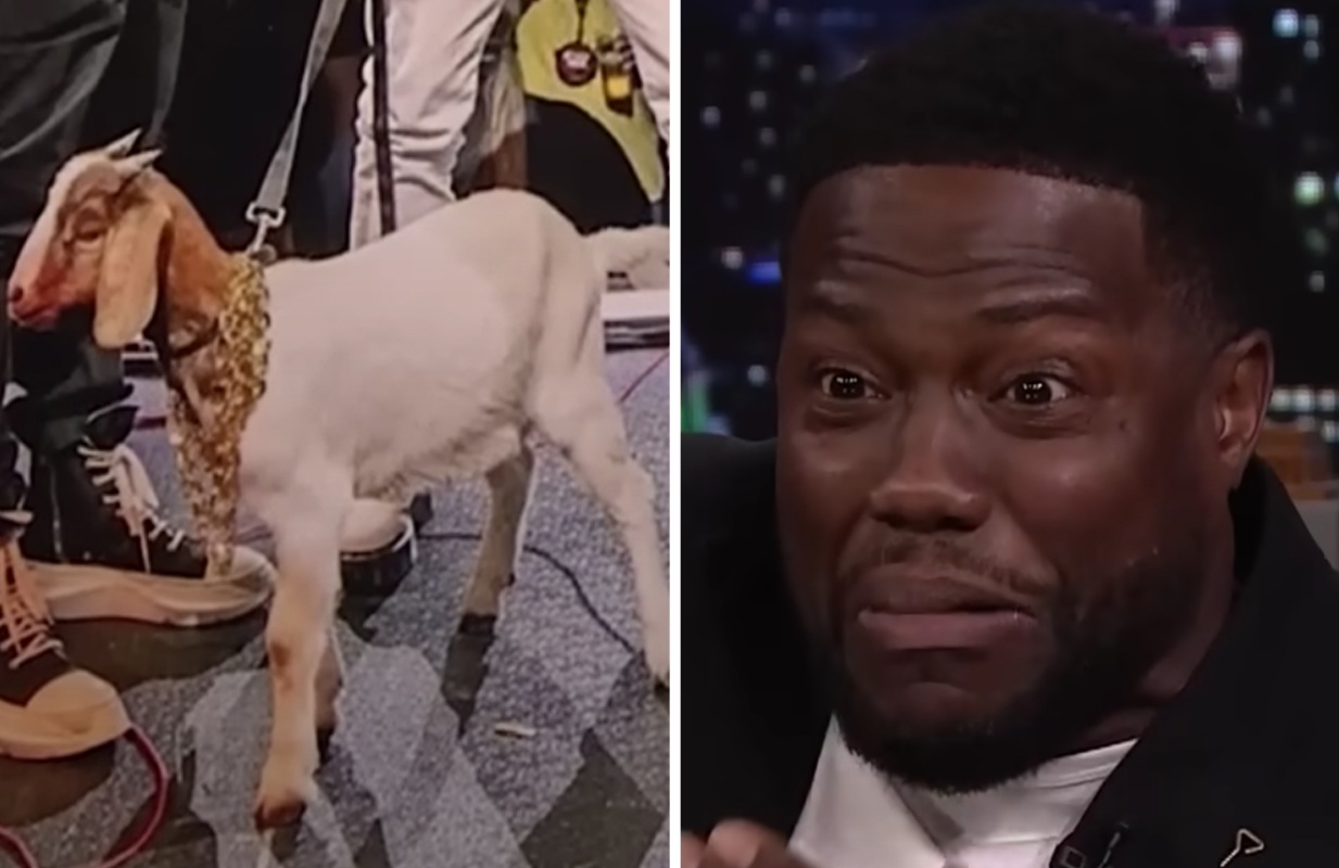 Kevin Hart and the goat he gifted to Chris Rock. (Photos: The Tonight Show)