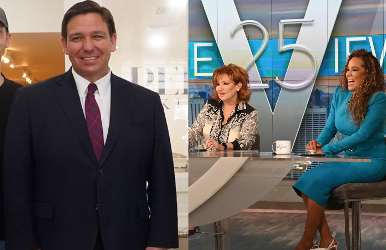Ron DeSantis/The View (Photos: Ron DeSantis/ABC)