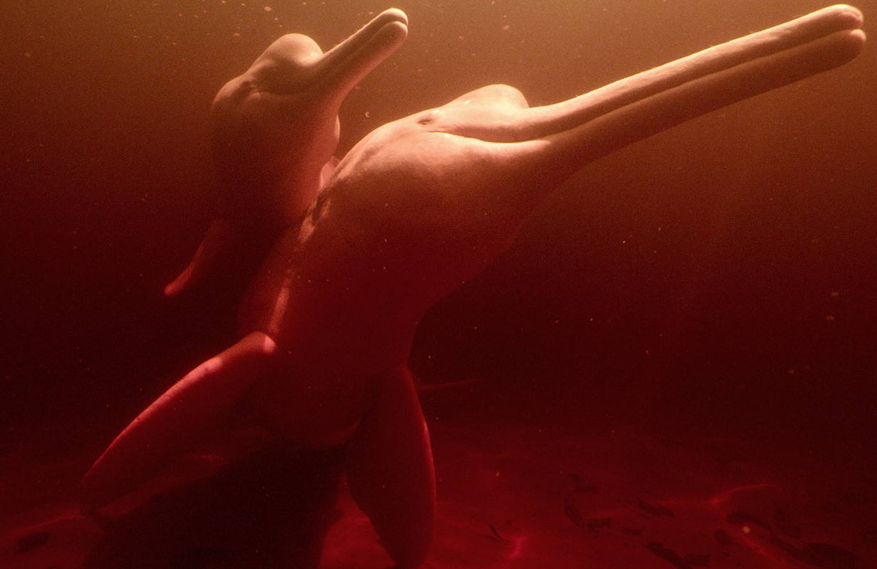 Our Water World. (Photo: Netflix) 