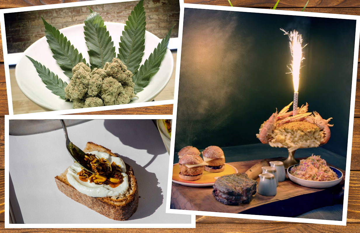 Ingredients and dishes from Cooked With Cannabis, Crazy Delicious, and High on the Hog (Graphic: Primetimer)