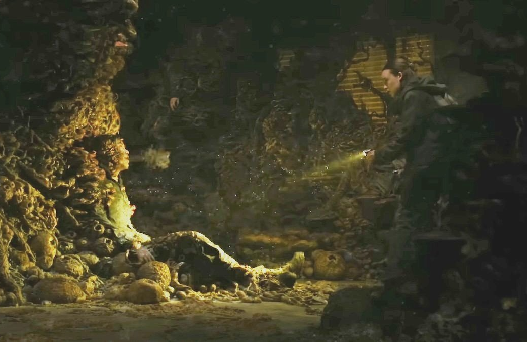 A still from The Last of Us season 2 episode 5 (Image credits - HBO)
