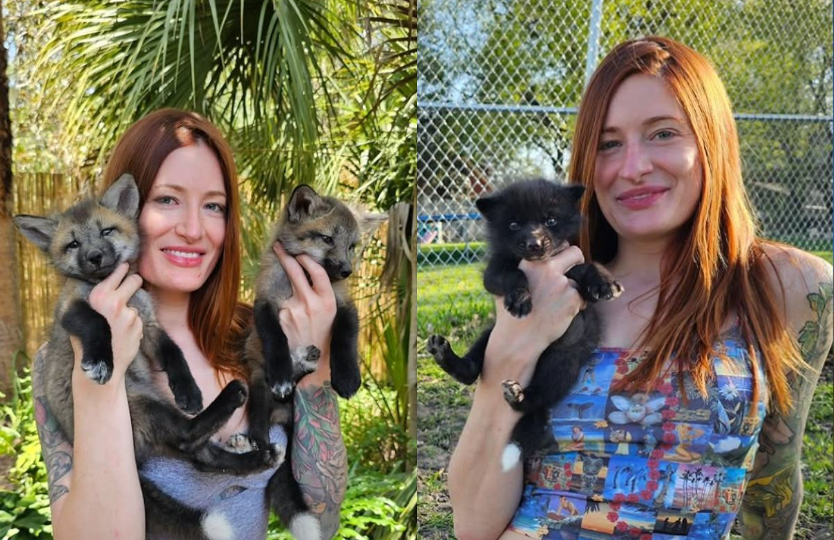 Mikayla Raines (Photo: Instagram/@saveafox_rescue)