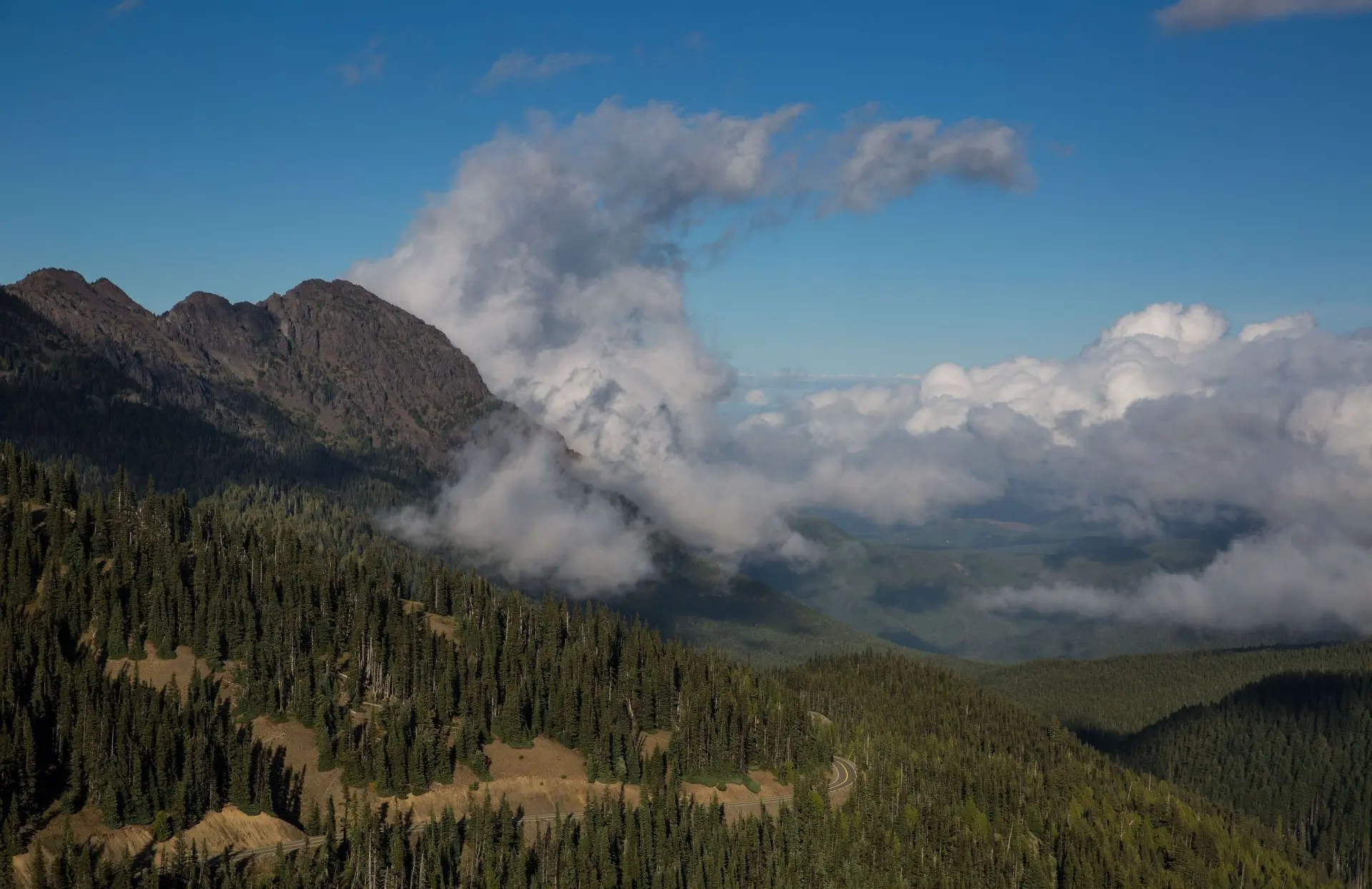 View from the Hurricane Ridge Visitor Center at the Olympic National Park near Seattle (Image via Getty)
