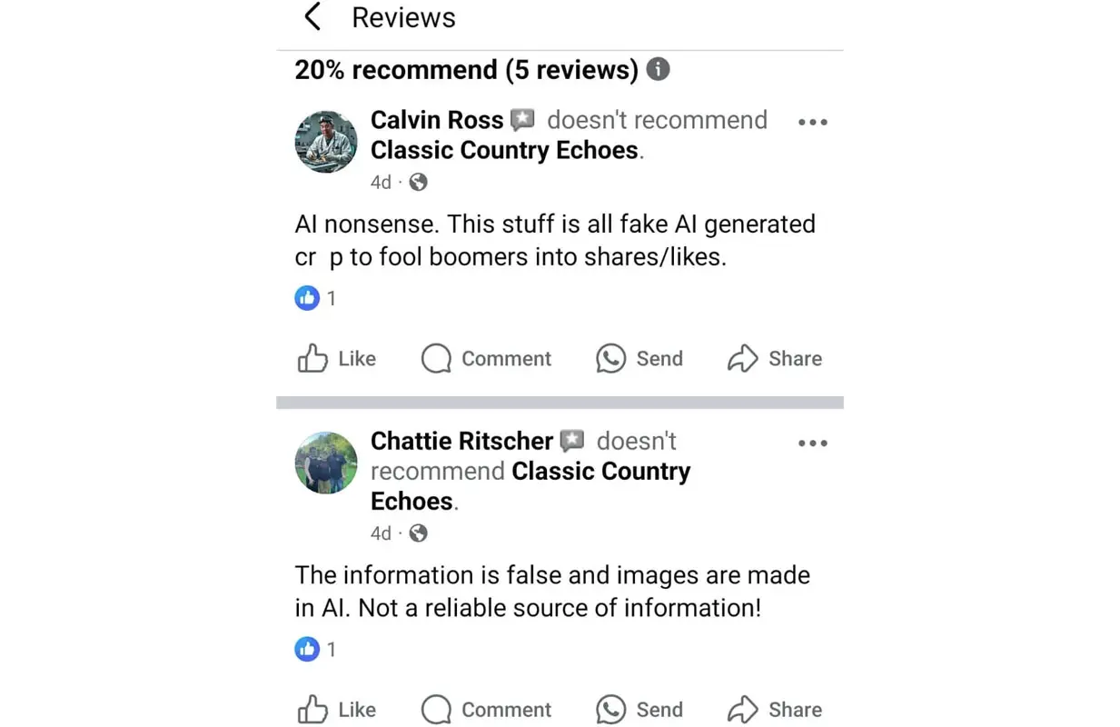Reviews seen under the page (image via Facebook/@Classic Country Echoes)