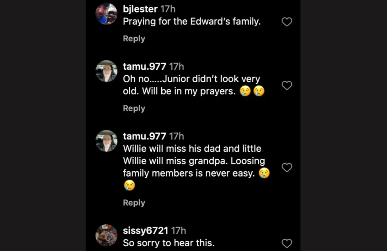 Netizens comment for Junior Edwards (Image via Instagram/@ashleydeadeyejones)