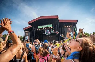 Bonaroo 2021 (Photo: Bonaroo/Instagram)