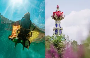 Stills from Tomorrowland 2025 (Photo: Instagram/@tomorrowland)